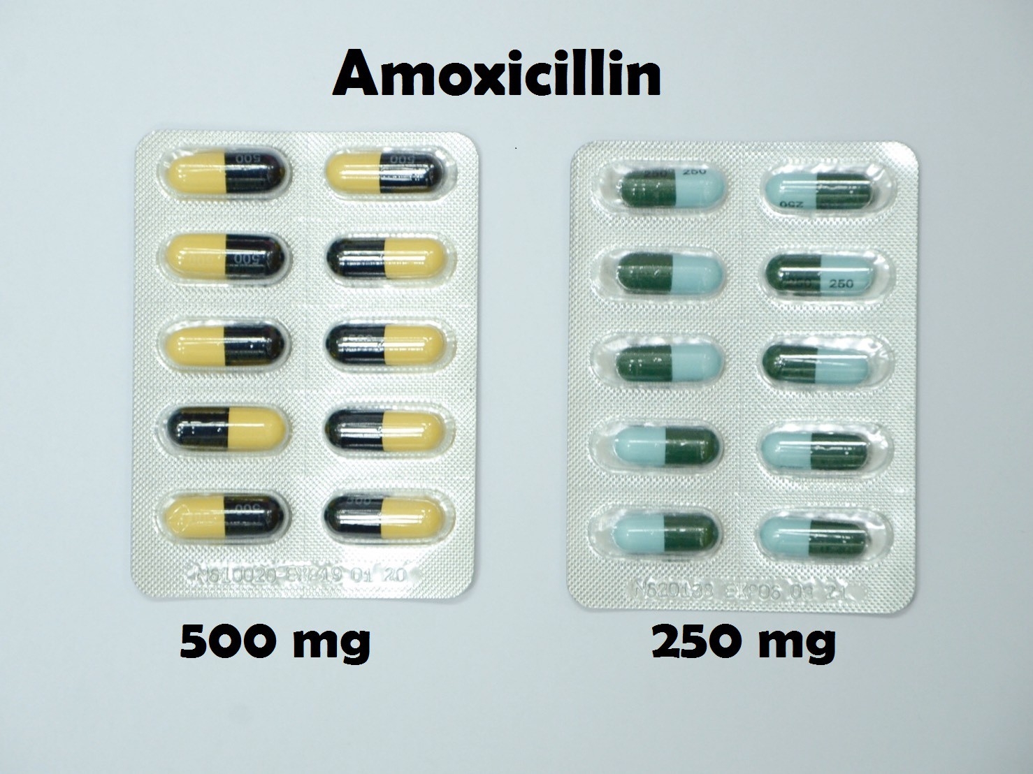 ยาที่มีหลายความแรง : Amoxicillin 250 mg และ 500 mg