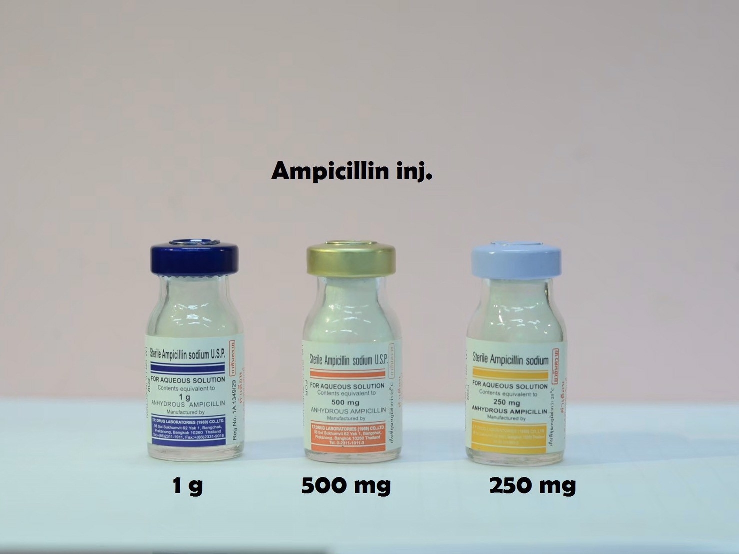 ยาที่มีหลายความแรง : Ampicillin 250 mg ,500 mg  และ 1 G