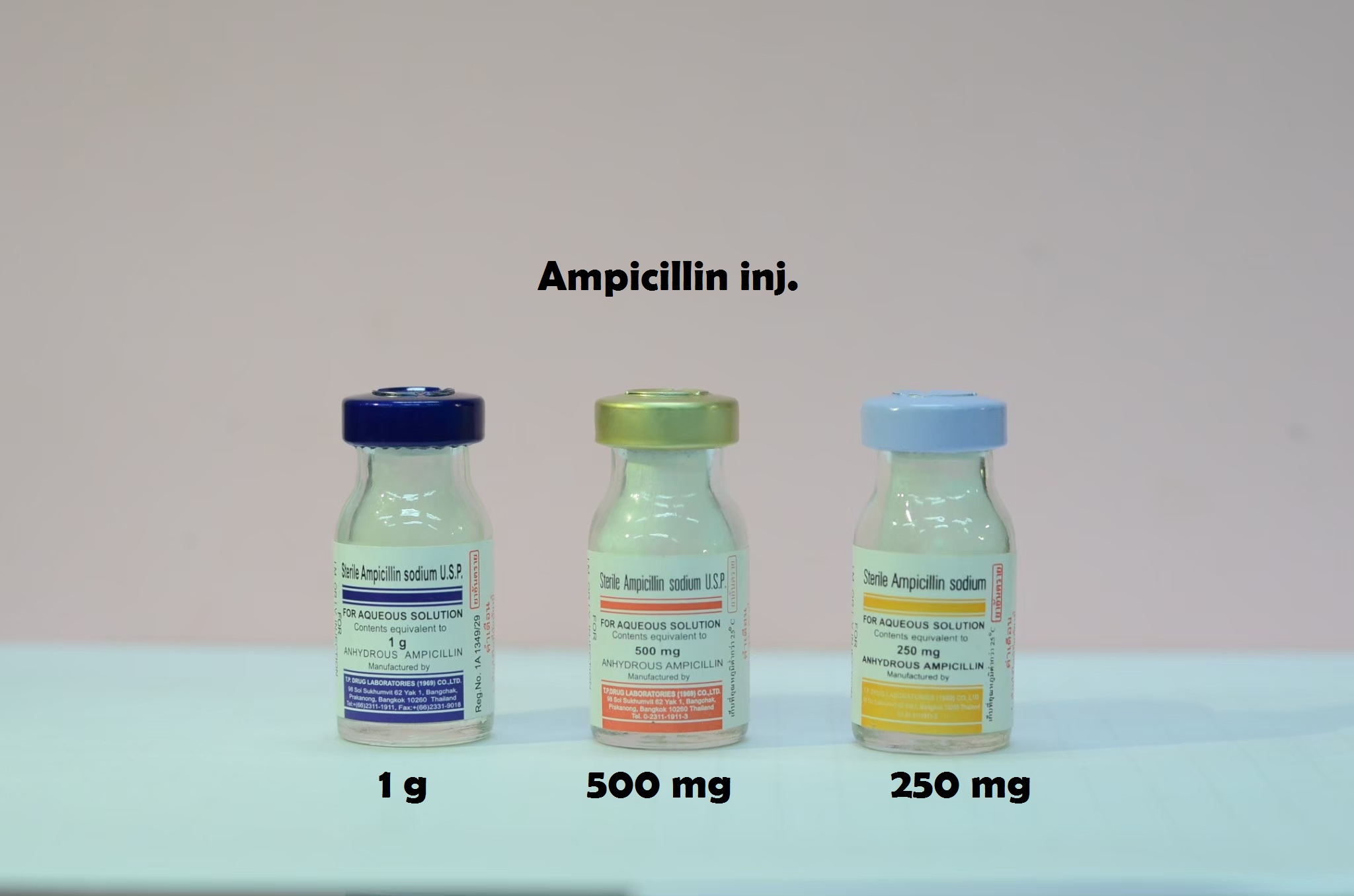 Ampicillin 1 g - 500 mg - 250mg inj.